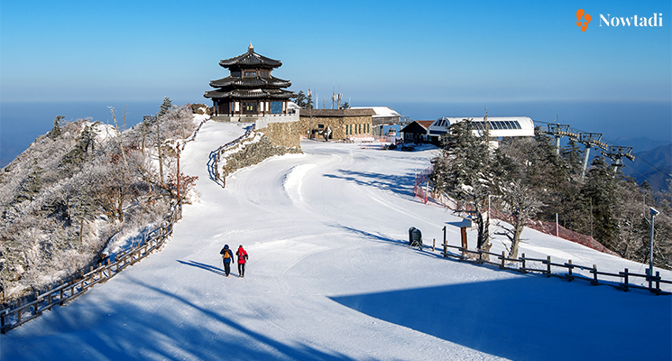 Kinh nghiệm du lịch Hàn Quốc mùa đông