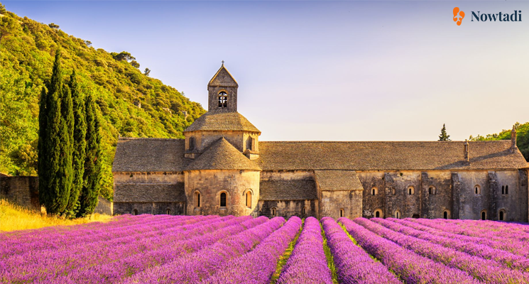 Kinh nghiệm du lịch Provence
