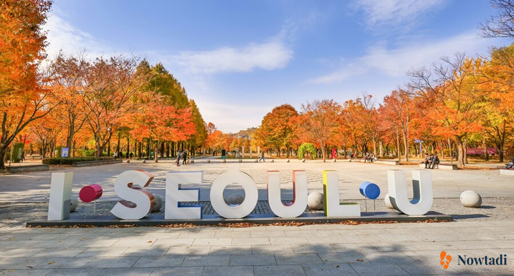 kinh nghiệm du lịch Hàn Quốc mùa thu
