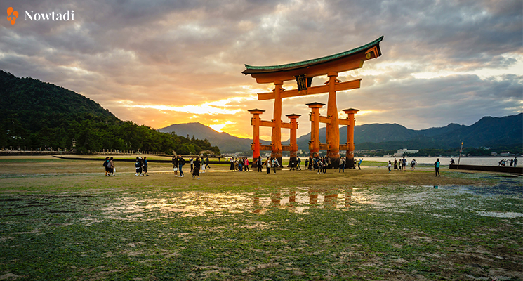 top địa điểm du lịch Nhật Bản