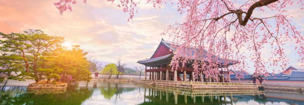 Du lịch Hàn Quốc | Miễn phí visa