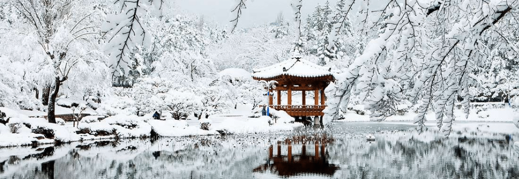 Hàn Quốc 2022| Đón tuyết đầu mùa tại xứ sở Kimchi