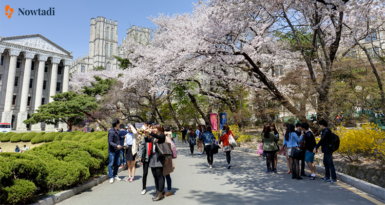 Hướng dẫn cách xin visa Hàn Quốc cho sinh viên tổng hợp từ A-Z