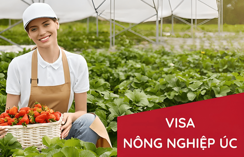 Điều kiện xin visa nông nghiệp Úc 403