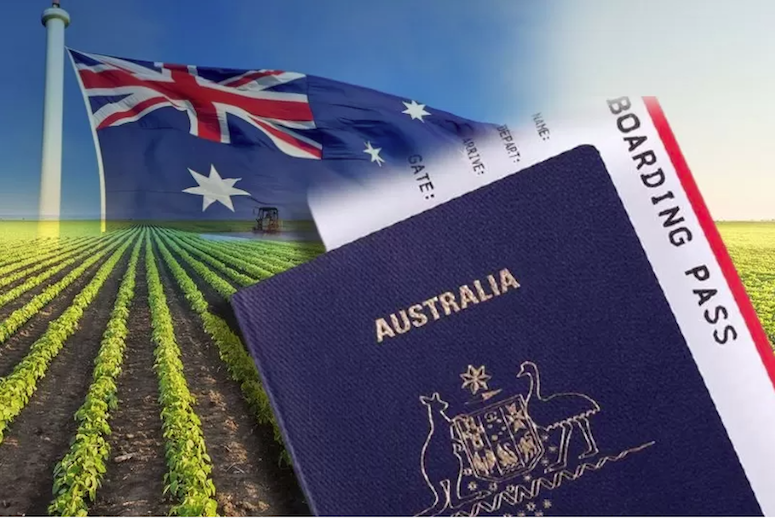 visa 403 Úc là gì?