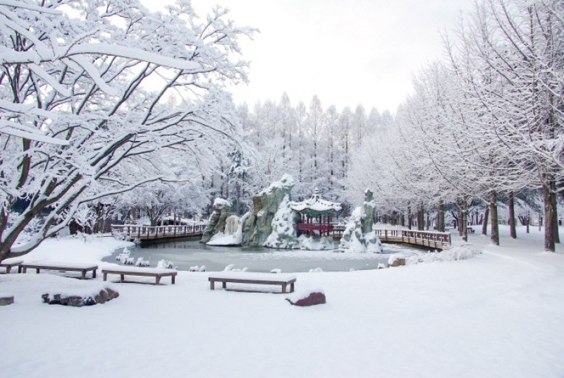 Du lịch tại đảo Nami Hàn Quốc vào mùa đông