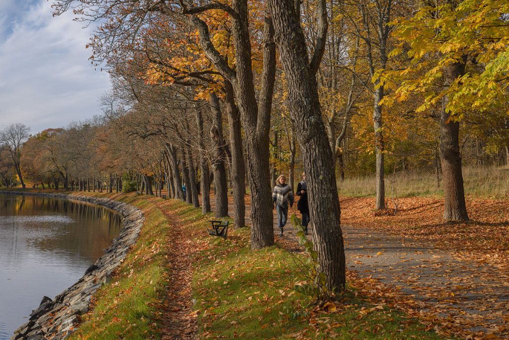 Tham quan công viên Royal National City Park Stockholm