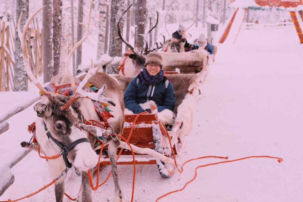 Đi xe tuần lộc ngắm cảnh tại Lapland
